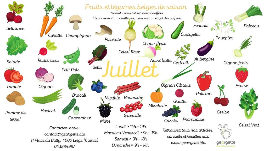 Le calendrier des fruits et légumes de Juillet Zoom sur la courgette